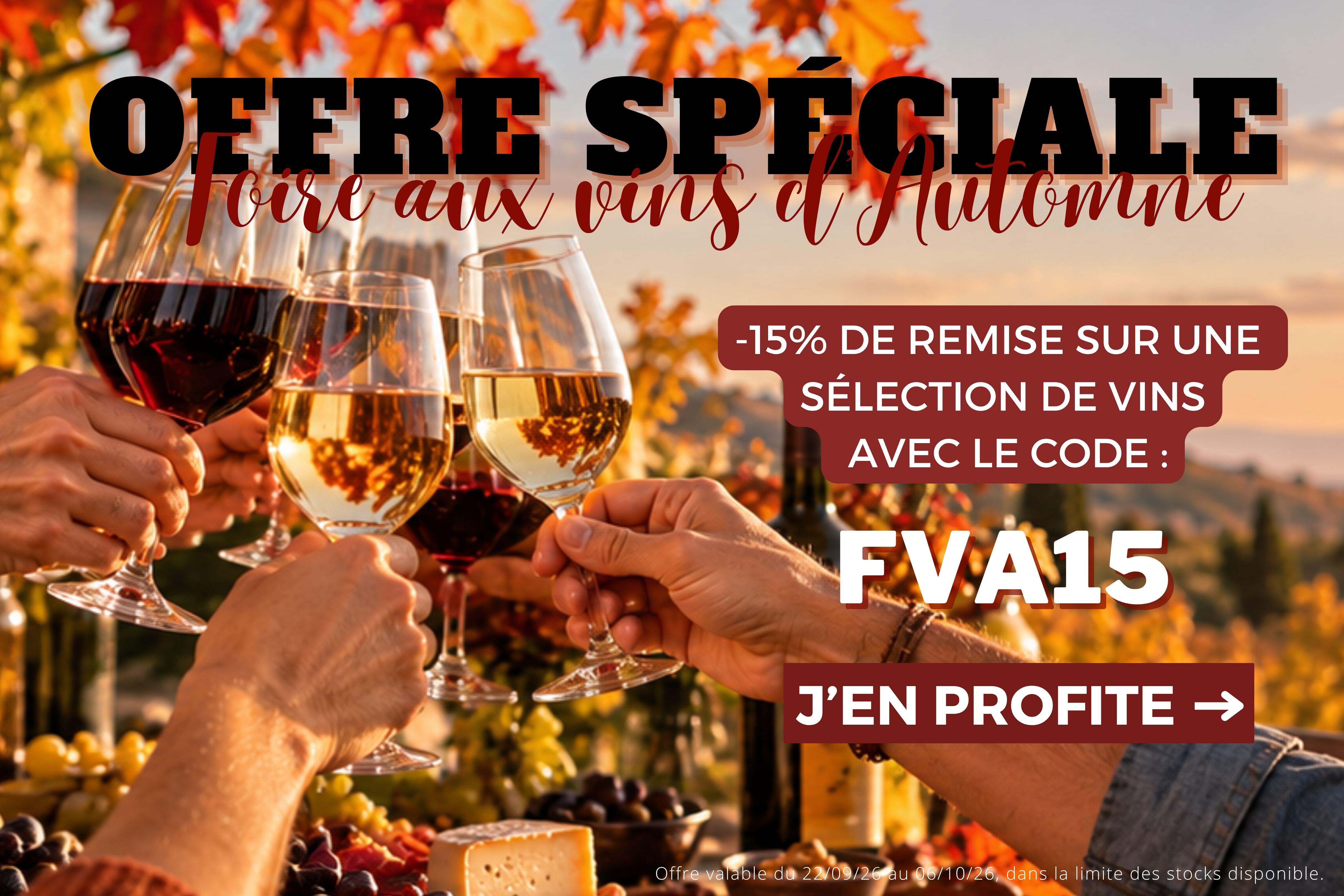 promotion-foire-aux-vins-automne-2026